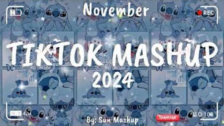 Tiktok Mashup November 💙2024💙 (Not Clean)