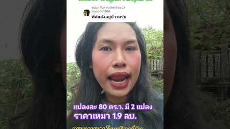 ตอบสิ‼️ #โมเมย์ขายที่ดิน #อสังหาริมทรัพย์ #ขายที่ดิน