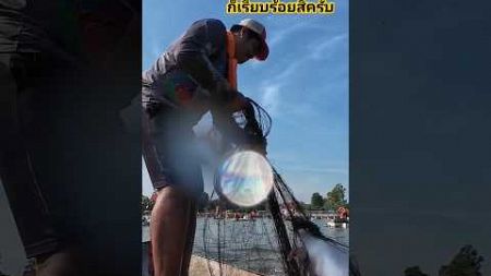 ดึงปลาใหญ่จะสู้มือขนาดไหน #หากินคือเก่า #fishing #หาอยู่หากิน #fishingnet #netfishing #