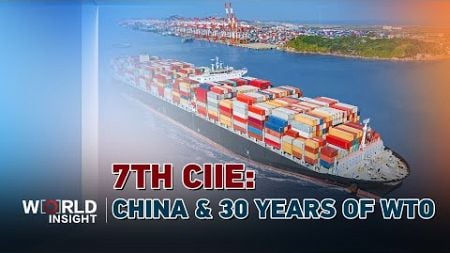 7th CIIE: How China&#39;s role has evolved after 30 years of WTO