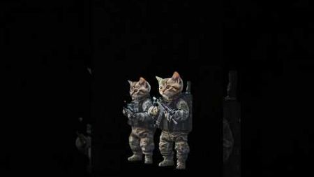 War Cats#army #bundeswehr #cat #cats #catshorts #waffenträger #militar #military #haustiere