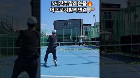 어프로치발리연결🔥🎾#주말레슨#5시간훈련 #경남#테니스레슨#tennis#테니스 #tennisplayer#lesson #forehand#backhand#Volley