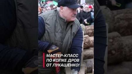 Мастер-класс по колке дров от Лукашенко! #лукашенко #политика #новости #колкадров #беларусь