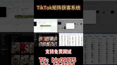 #tk群发系统#TikTok采集群发#TikTok采集脚本#TikTok营销系统#tiktok截流采集#营销系统#截流工具#TikTok截流#TikTok矩阵系统#TikTok视频矩阵#打粉工具