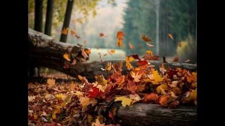 Autumn&#39;s Whisper | Meditation Healing Sleeping Music and Songs | Liedjes en Muziek