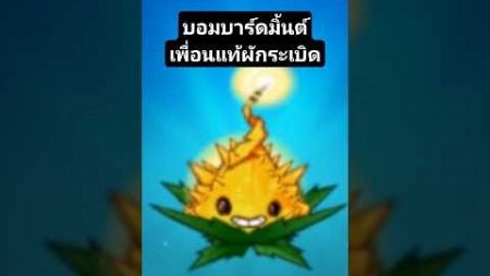 รีวิวบอมบาร์ดมิ้นต์ มิ้นต์ที่จะแสดงพลังอำนาจให้กับผักประเภทระเบิด plant vs zombies 2 #catzgamer