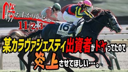 【一口馬主勝ち上がりレビュー11/2,3】JRAだけじゃなくてJBCとかBCとかの話もしつつ！アンモシエラおめでとう🎉【節約大全】Vol.1324