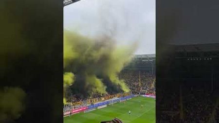 #dynamo #dresden #ultras #fußball #sgd1953 #pyrotechnik