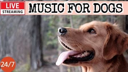 🔴[LIVE] Dog Music🎵Dog Calming Music🐶💖Separation Anxiety Relief💖🦮Relaxing Music For Dog Sleep💖2