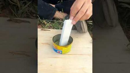 Survival Skills: Gasoline vs Styrofoam🔥#survival #bushcraft #camping #lifehacks #outdoors