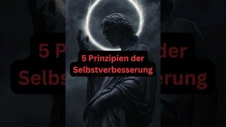 5 Prinzipien - Selbstverbesserung 💪 #selbstverbesserung #selbstliebe #selbstdisziplin #erfolg