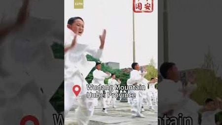 Explore Tai Chi at Wudang Mountain