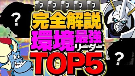 環境最強リーダーランキングTOP5！今のパズドラって誰が強いの？デジモンvsディズニー！【パズドラ】