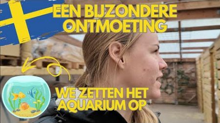 BIJZONDERE ONTMOETING EN VISSEN ETEN ONZE HANDEN OP | EMIGREREN NAAR ZWEDEN | VLOG 60