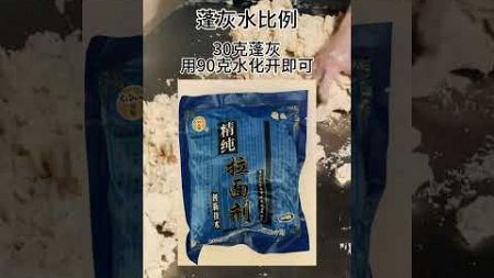 16年前离开兰州，师傅亲传手艺，25斤面粉“和稀泥”，拉面真简单！#拉面#兰州拉面#兰州牛肉面