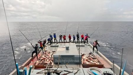 Wet and Wild! Unbelievable Skipjack Tuna Catch in the Rain!🎣