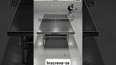 Tênis de mesa, table tennis, 卓球, настольный теннис.