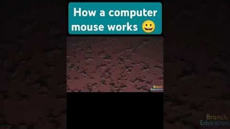 How Does a Computer Mouse Work? 🤔#knowledge #sciencefacts #techexplained