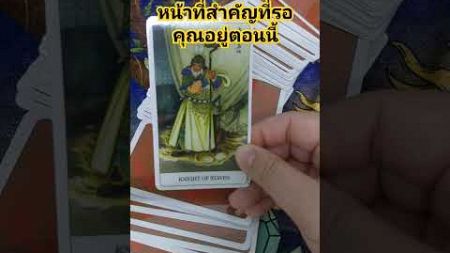 #ดวงชะตา #ดวงการเงิน #ดวงการงาน #ดวงเศรษฐี #ดูดวงแม่นๆ #tarot #shortvideo