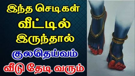 வீட்டில் இந்த செடிகள் இருந்தால் குல தெய்வம் வீட்டுக்கு வரும் | Astrology | T Tamil Technology