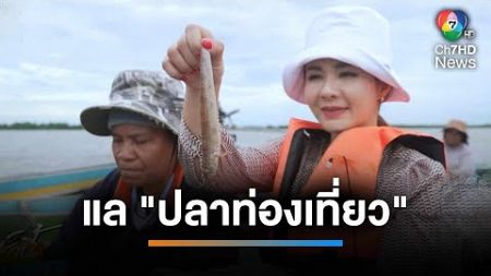 พาลงใต้ ล่องทะเลสาบสงขลา แล &quot;ปลาท่องเที่ยว&quot; | เช้านี้ที่หมอชิต