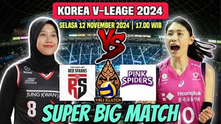 LIVE PINK SPIDERS VS RED SPARKS | KOREA V-LEAGUE 2024