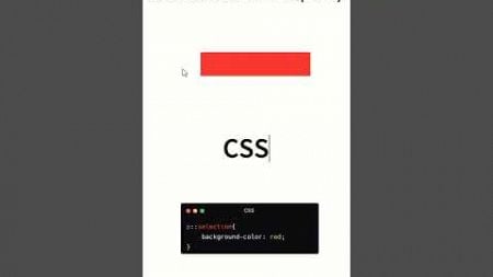 css ::selection property || #html #css #webdesign #developer #selection #propaty