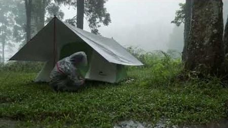 丛林遭遇暴雨 在雨中露营