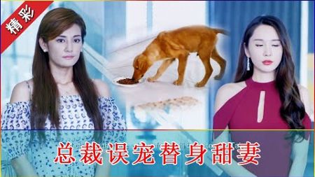 霸道總裁被逼婚，竟讓宠物狗定姻缘，来个狗食选妻记