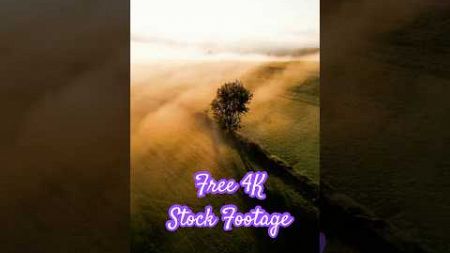 How to get Free 4K Stock Footage for your Social Media