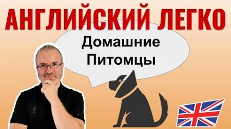 Разговорная практика по диалогам - ДОМАШНИЕ ПИТОМЦЫ