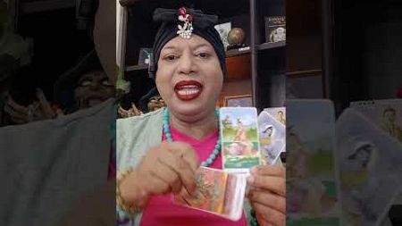 ธุรกิจของคุณเป็นอย่างไร #ไพ่อยากบอกอะไร #tarot #pickadeck #tarotreading #ไพ่พรหมญาณ #tarotreader