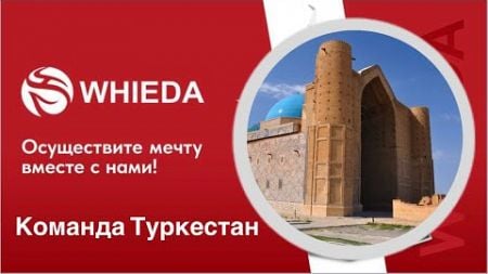 Результаты и отзывы