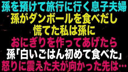 【スカッとする話】息子夫婦が旅行中、孫を預かるとダンボールを食べだしたのでおにぎりを作ってあげた→孫「白いごはん初めて食べた」→その言葉を聞いた夫は家を飛び出し…【修羅場】【朗読】