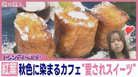 【紅葉】 秋色に染まるカフェ&quot;愛されスイーツ&quot;【トレンドふくおか】【アサデス。】