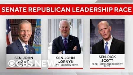 Rick Scott, John Thune or John Cornyn could be next Senate majority leader