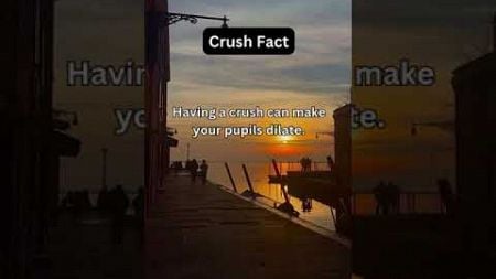 SECRET CRUSH FACTS! #psychology #shorts #crush