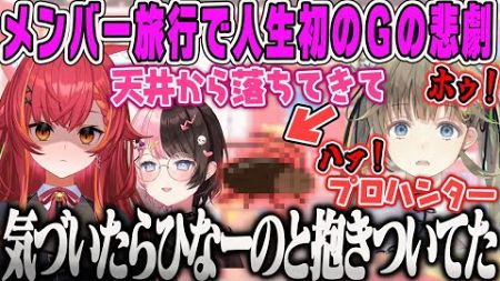 【猫汰つな】メンバーとの旅行での人生初のGの悲劇を語るねこたつ雑談【橘ひなの、英リサ、ぶいすぽ】