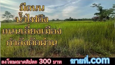 #ขายที่ดิน #ที่นา ถนนเลี่ยงเมืองกำลังตัดผ่าน น้ำไฟเข้า #ที่ดิน #สกลนคร @com-rb7kp