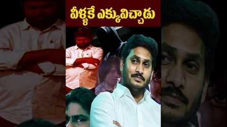 వాలంటీర్ల కంటే వీరికే ఎక్కువిచారు | YCP Social Media Activists | Tollywood Nagaram