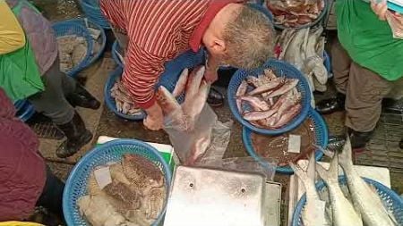 精彩拍賣魚市場 坎仔頂 基隆魚市場 Amazing fish market, crazy auction, #freshseafood 5