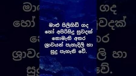 ඔයාගේ එකත් නිරෝගීමත්ද? 😍😍. #psychology #education #shorts