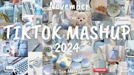 Tiktok Mashup November 💙2024💙 (Not Clean)