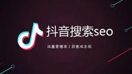 抖音SEO搜索流量课了解抖音SEO的底层逻辑