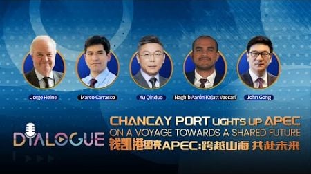 Chancay Port lights up APEC: On a voyage towards a shared future