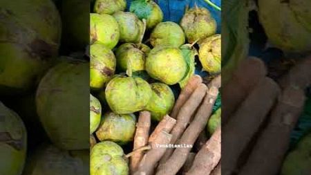 Assam market💥 நத்தை🐌 பட்டுப்புழு நீங்க பார்த்ததுண்டா #trending #shorts #short #marketing #food #leo