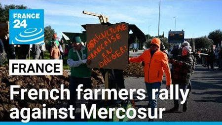 French farmers rally against Mercosur trade talks and foreign competition • FRANCE 24 English