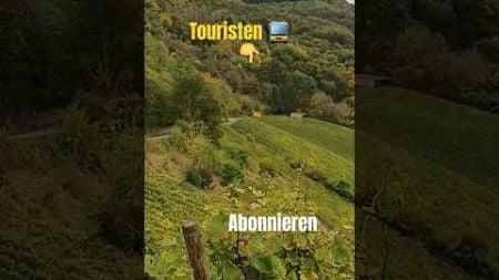 Wenn der Bus eintrifft&amp;mehrTeil1#trip #travel #mosel #castle #weinberge #kultur #bildung#relax