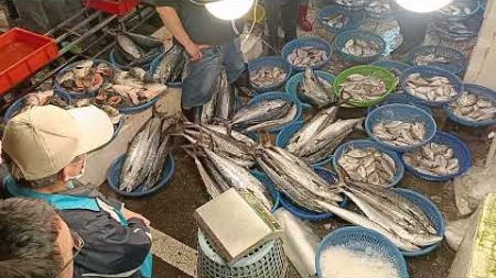 精彩拍賣魚市場 坎仔頂 基隆魚市場 Amazing fish market, crazy auction, #freshseafood 15