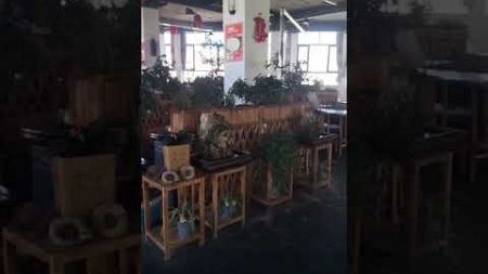 鸡鸭鹅鱼，生态环境！ 这店环境太好了 流水生财 寻一处幽静觅一份清欢 日喀则美食 欢迎新老顾客前来品尝